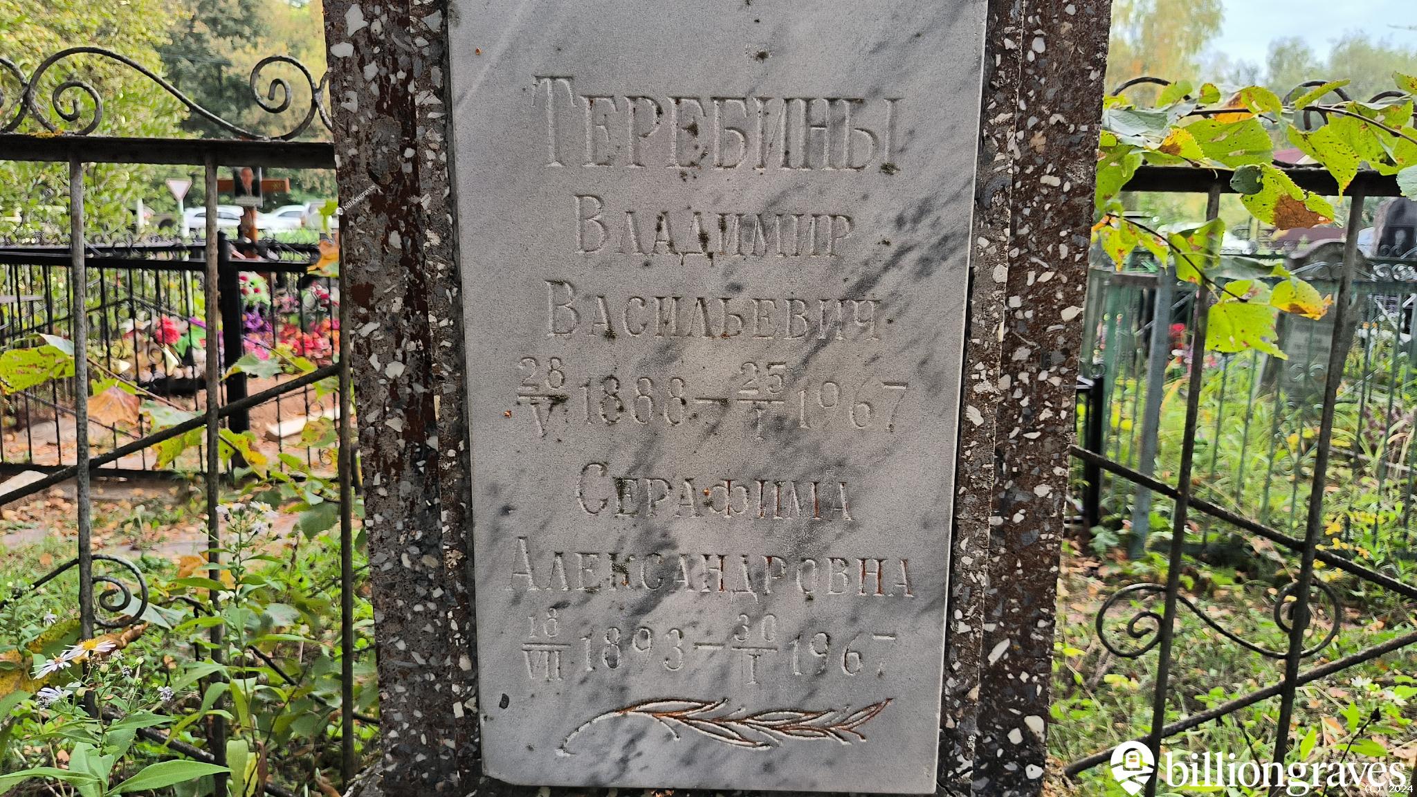 Теребина Серафима Александровна