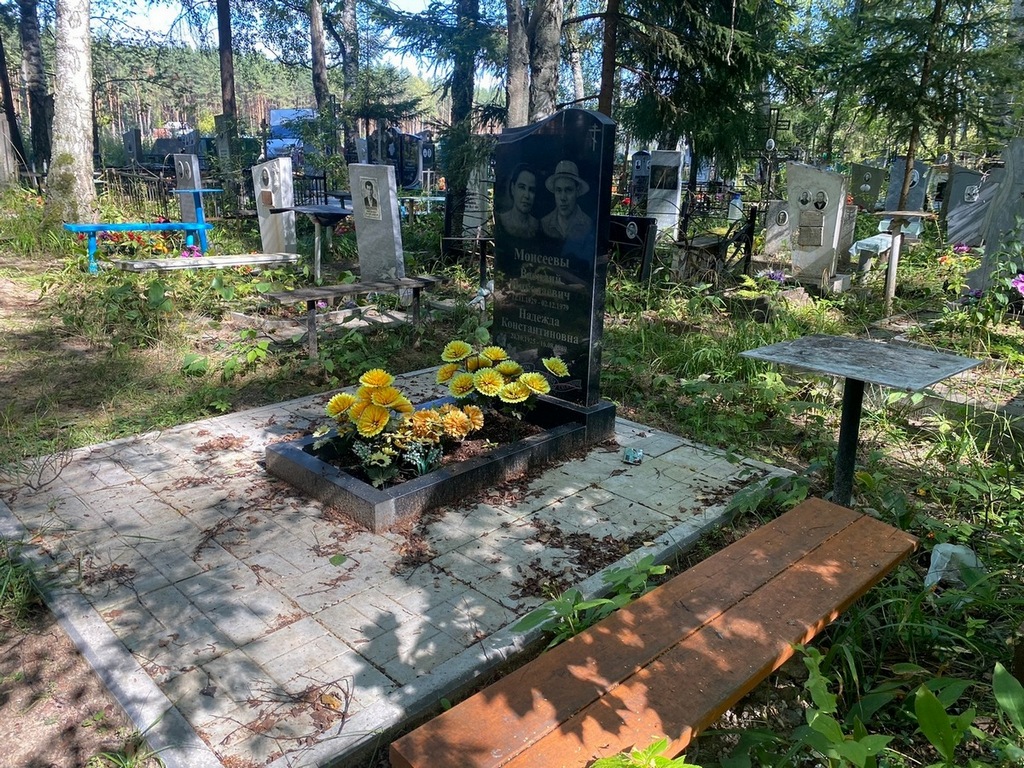 Моисеев Василий Николаевич