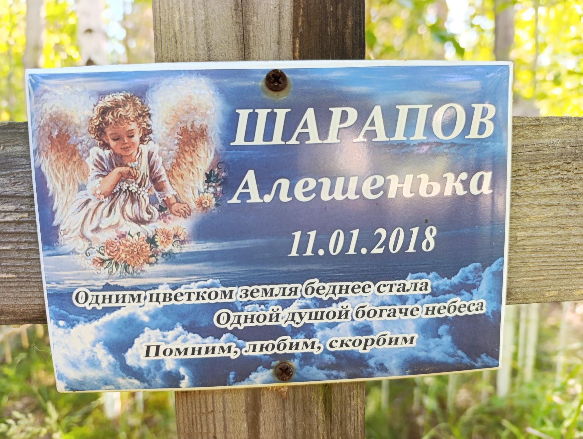 Шарапов Алешенька