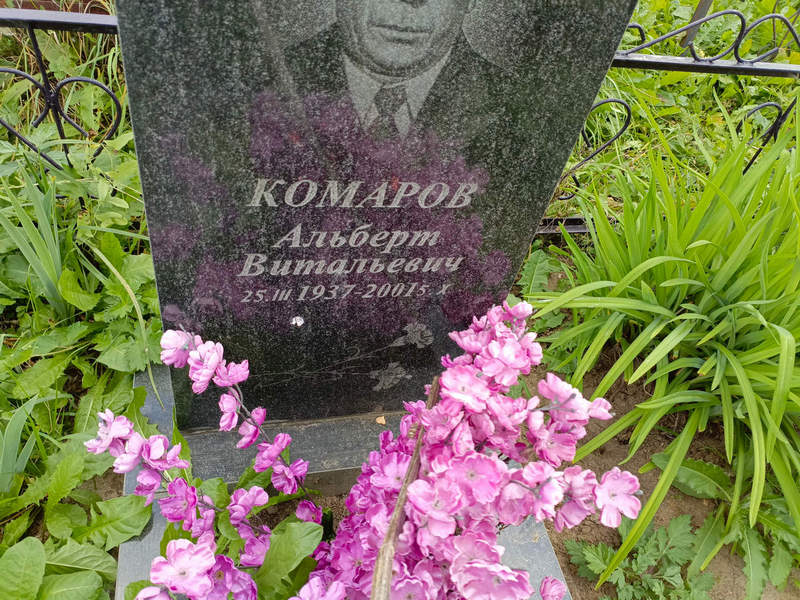Альберт Комаров Витальевич