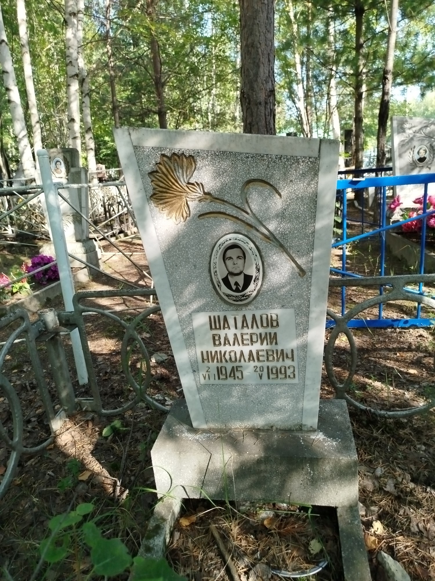Шаталов Валерий Николаевич