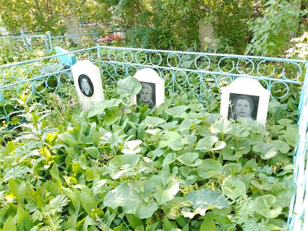 Несмелова Анастасия Васильевна