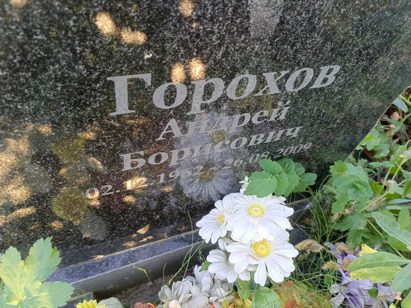 Горохов