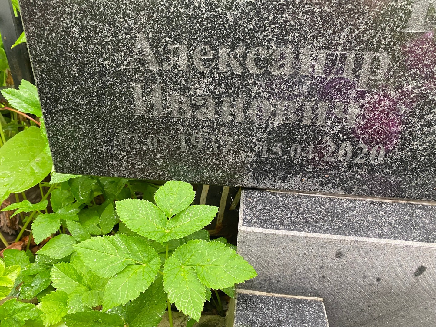 Капитонов