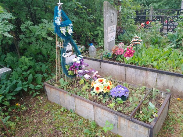 Чесноков Михаил Николаевич