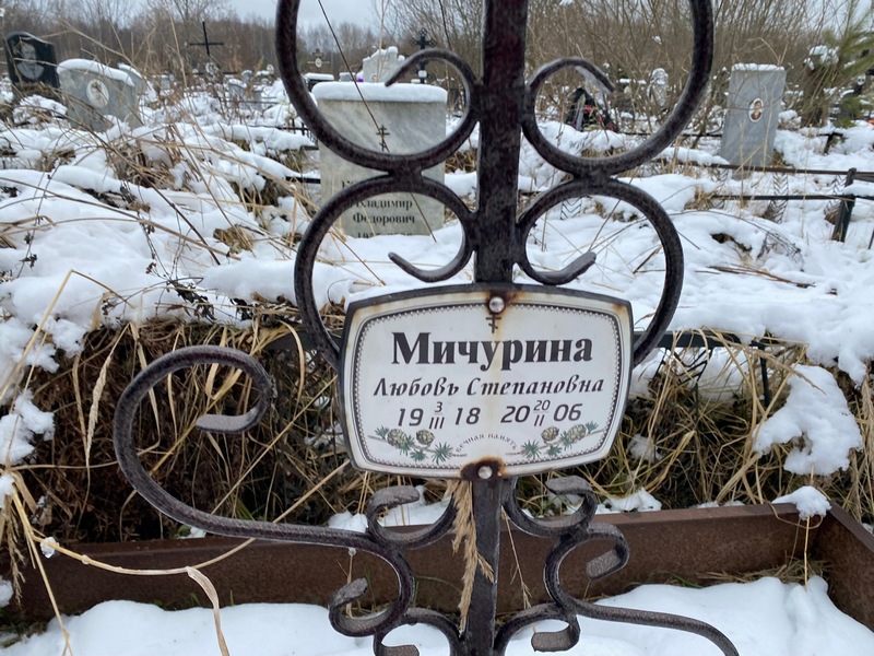 Мичурина