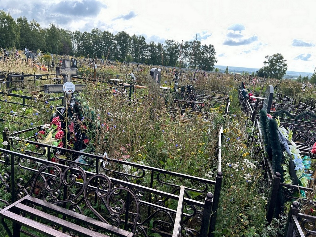 Амельчонок Владимир Владимирович