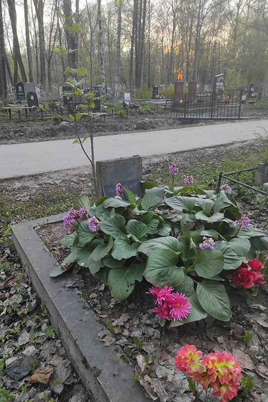Фролова Анна Кирилловна