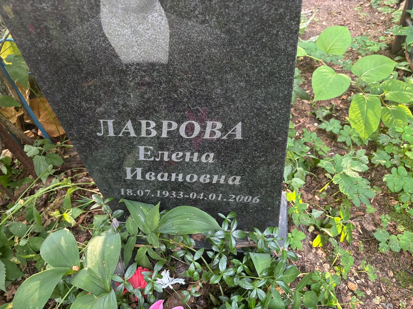 Лаврова