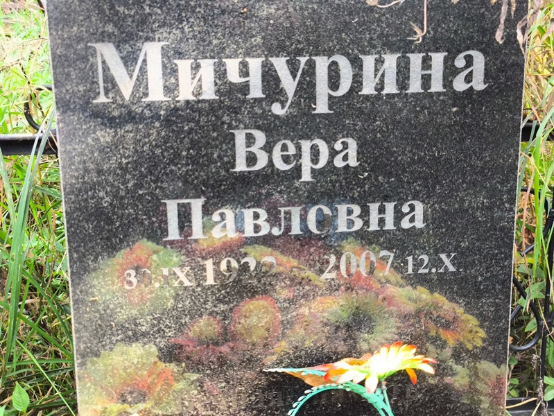 Мичурина
