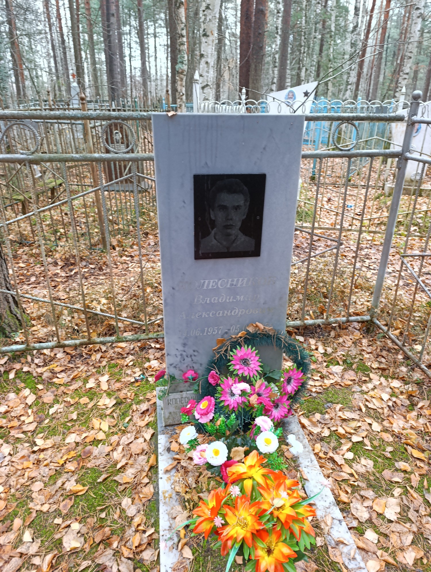 Колесников Владимир Александрович