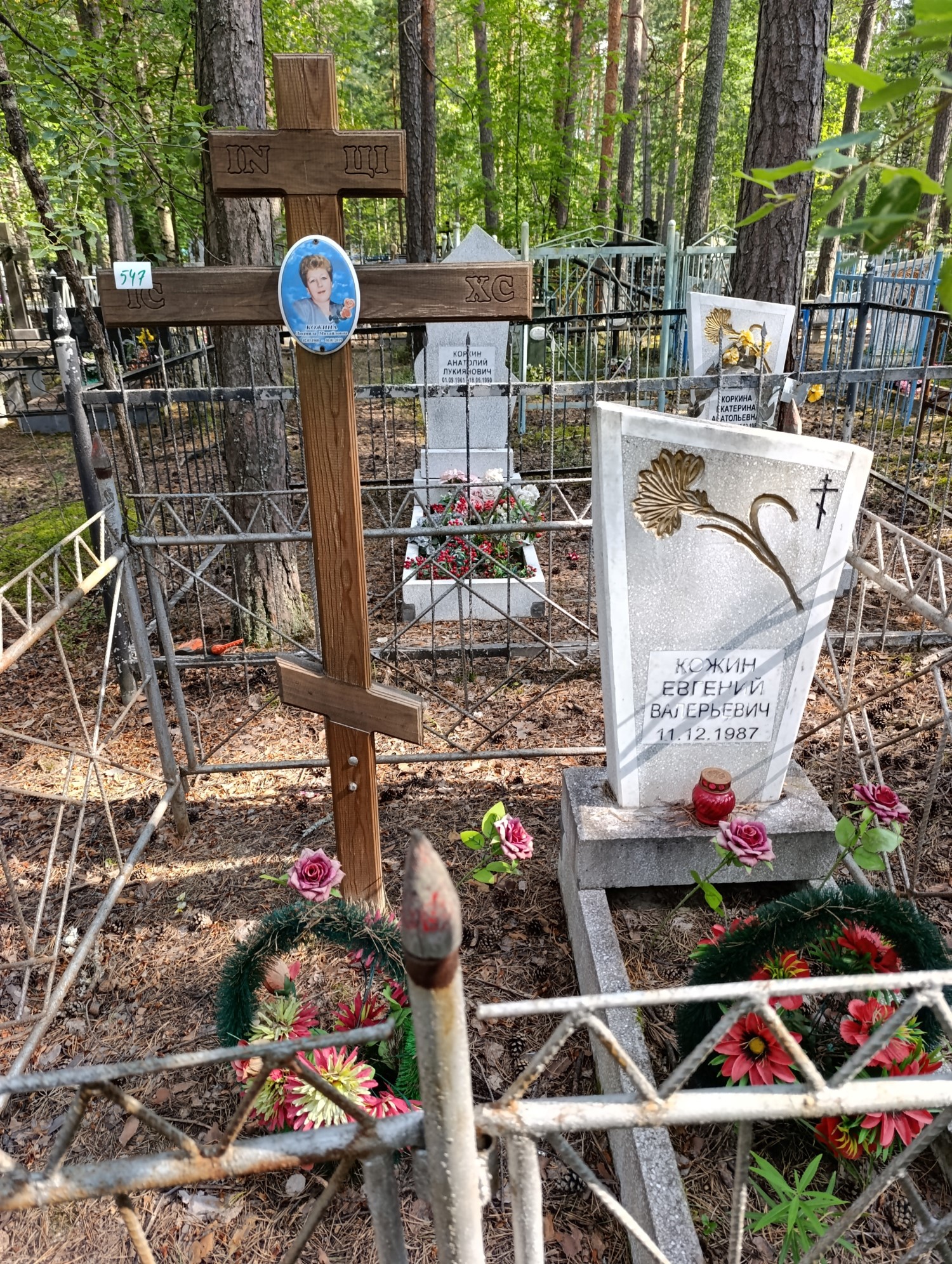 Кожина Людмила Михайловна