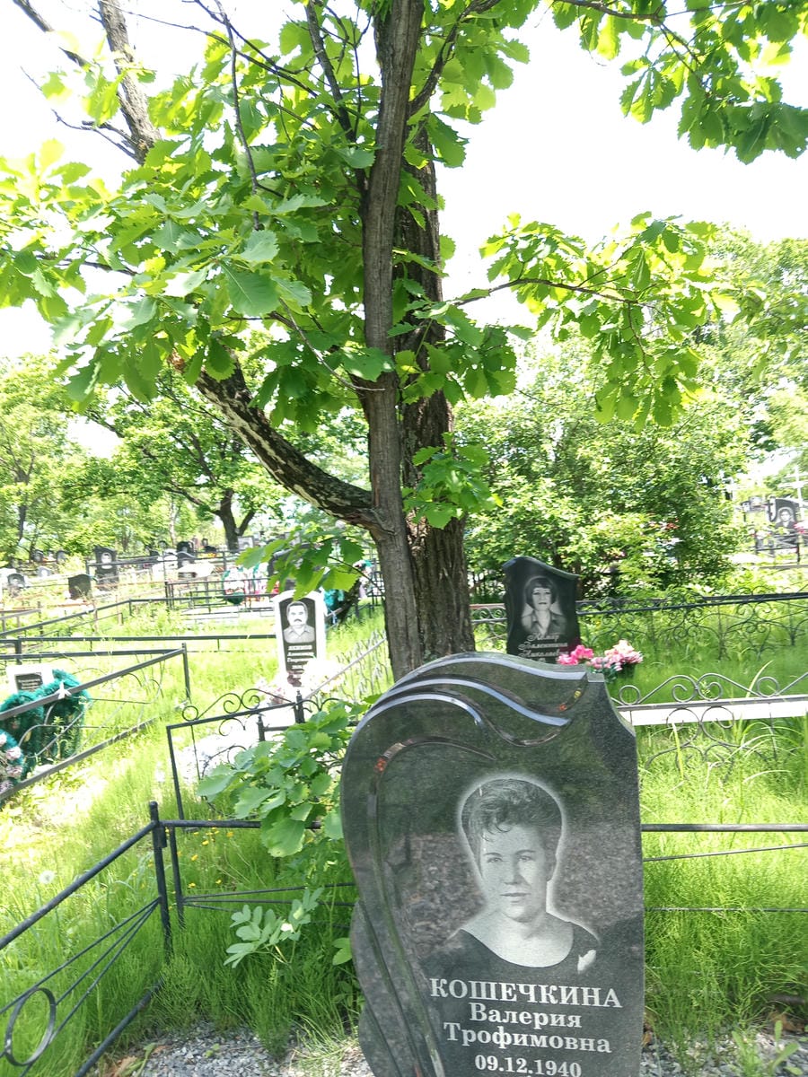 Кошечкина Валерия Трофимовна