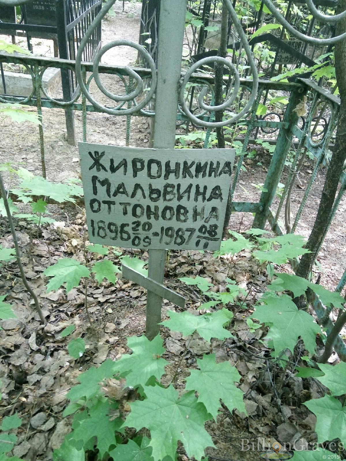 жиронкина мальвина оттоновна