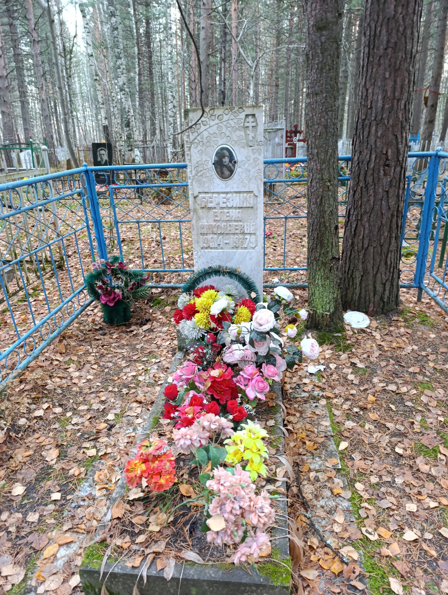 Березина Елена Николаевна