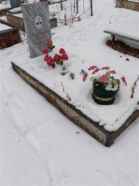 Горбунов Сергей Георгиевич