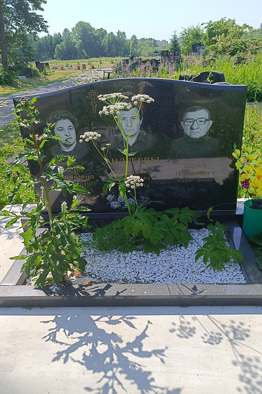 Андреева Двера Симоновна
