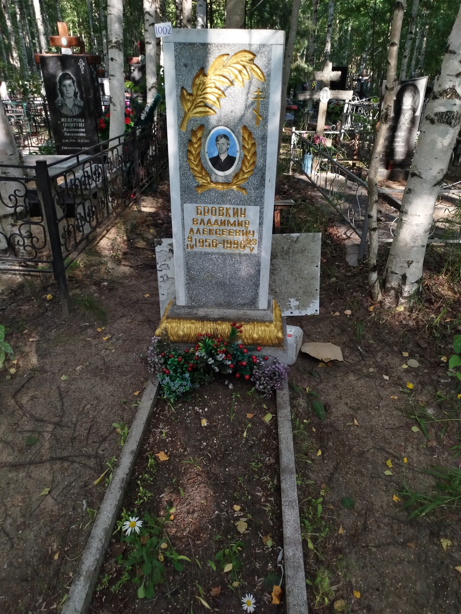 Бровкин Владимир Алексеевич