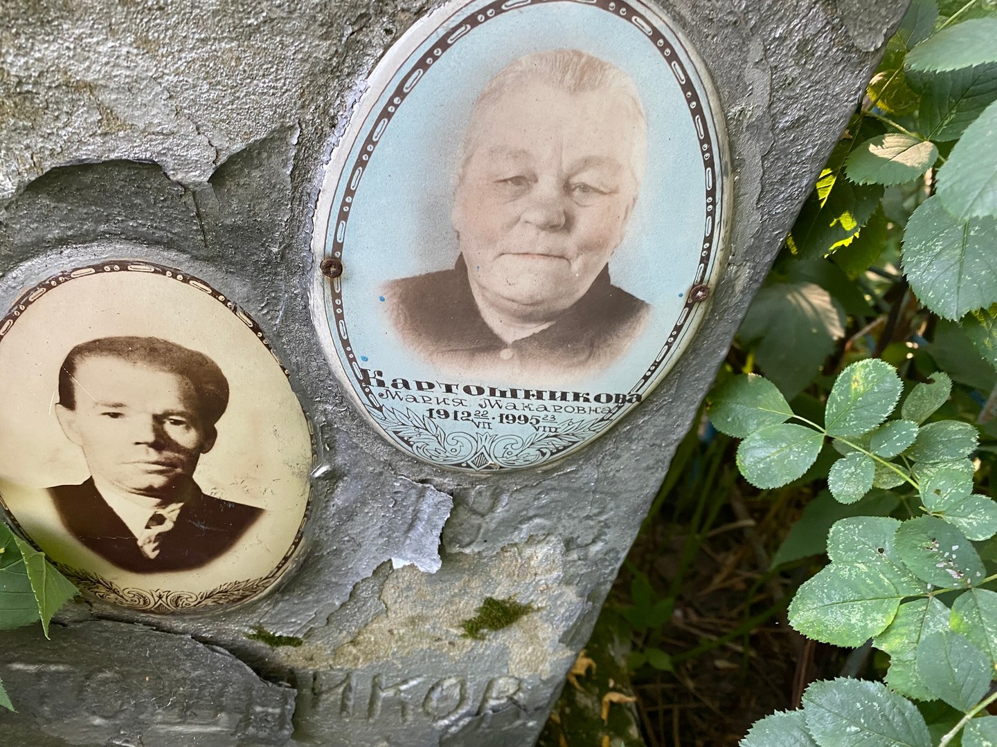 Картошникова