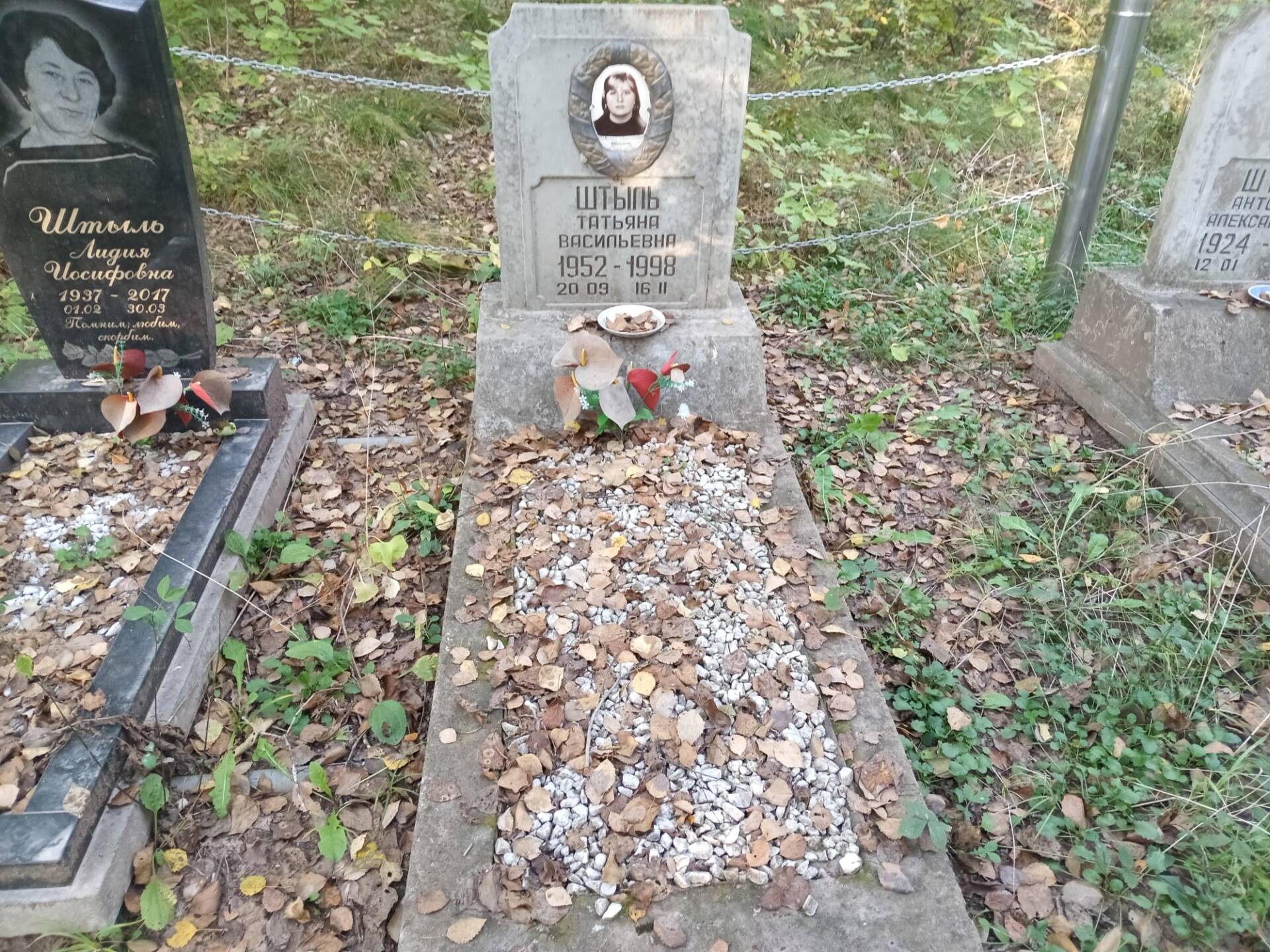 Штыль Татьяна Васильевна