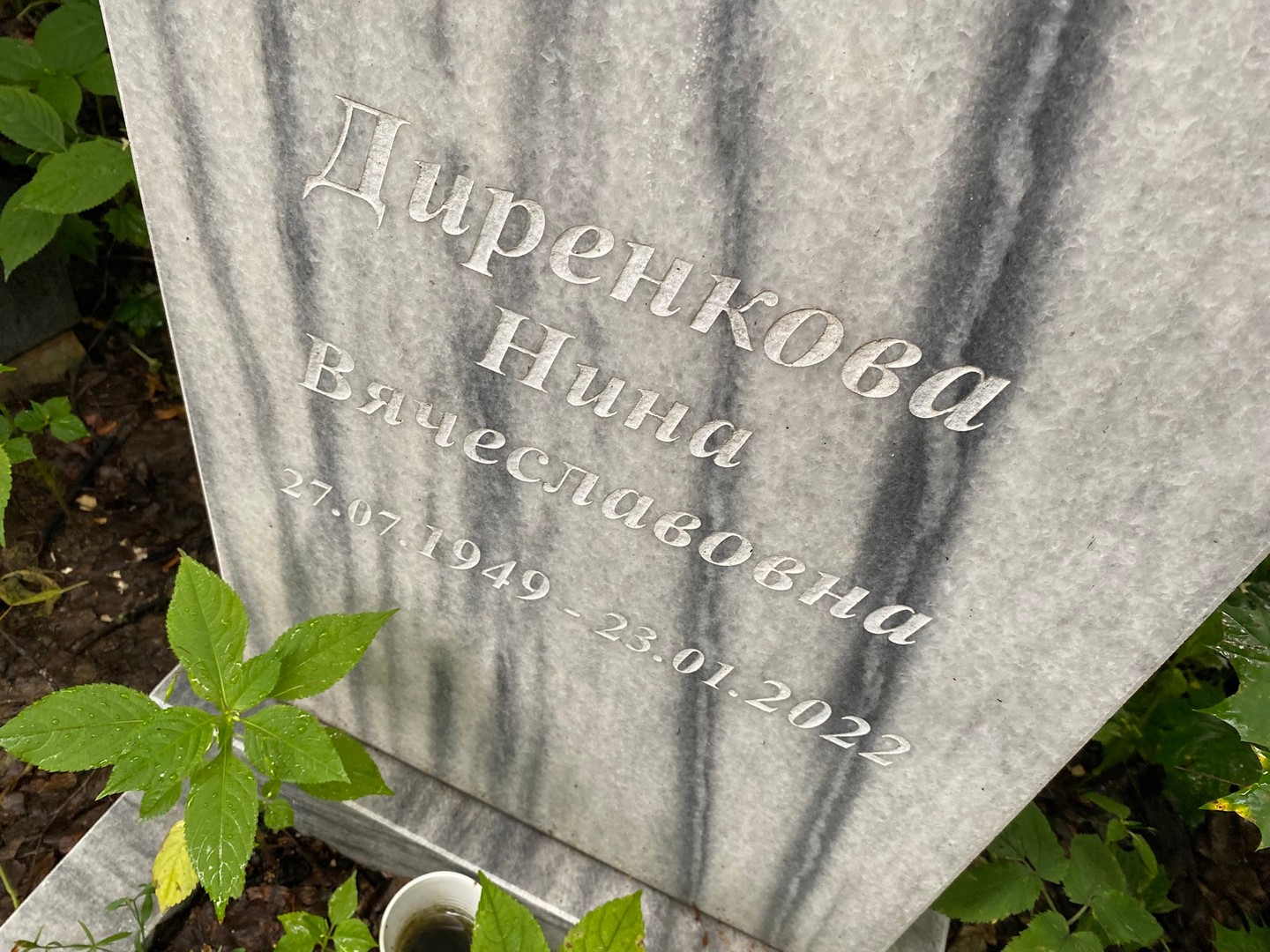 Диренкова