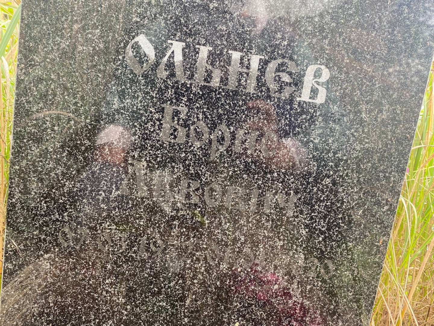 Ольнев