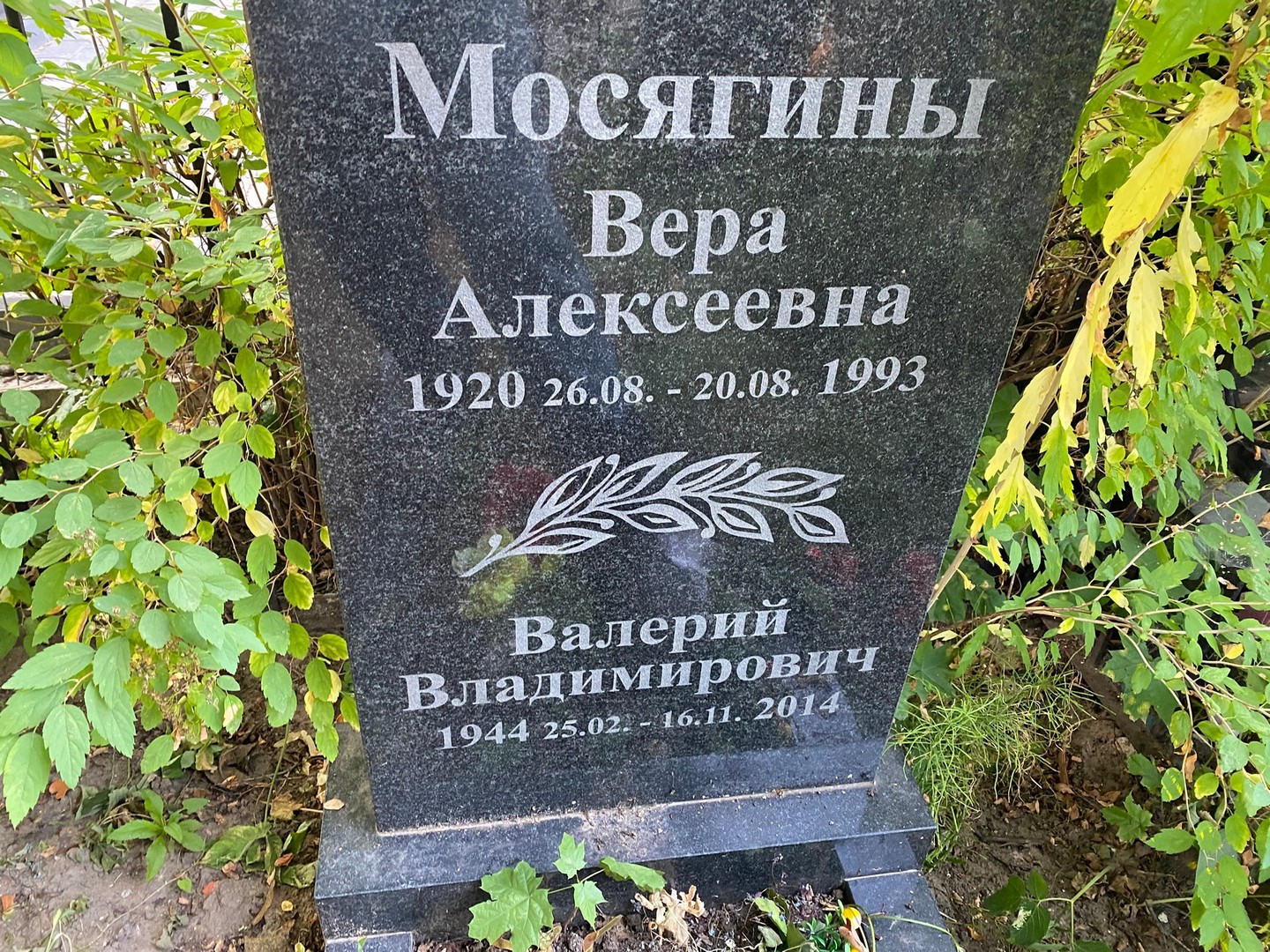 Мосягин