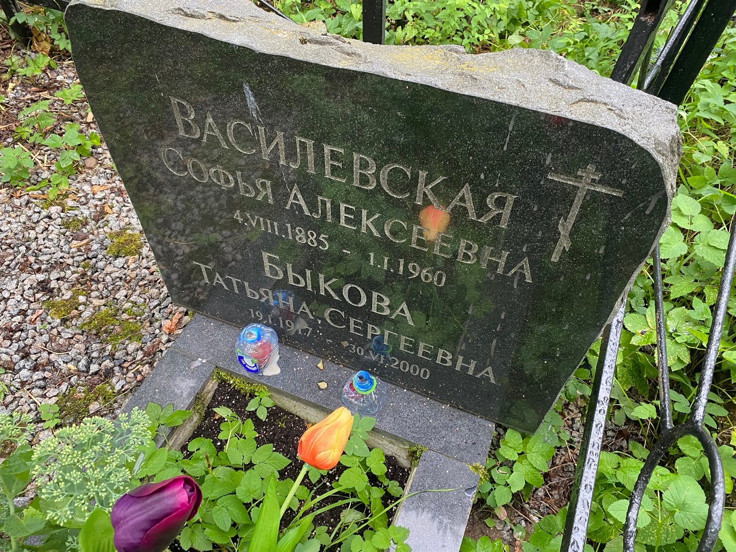 Софья Василевская Алексеевна