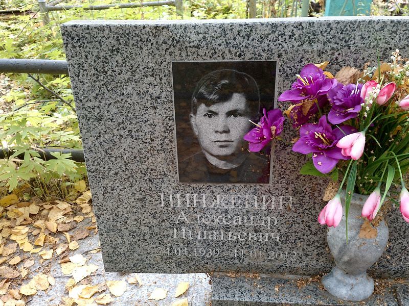 Пинженин