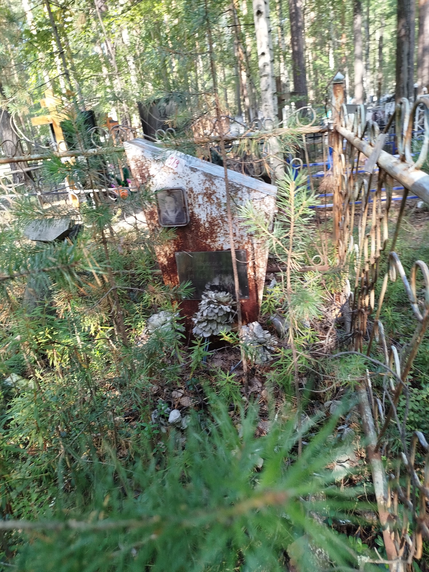 Шевелев Николай Андреевич