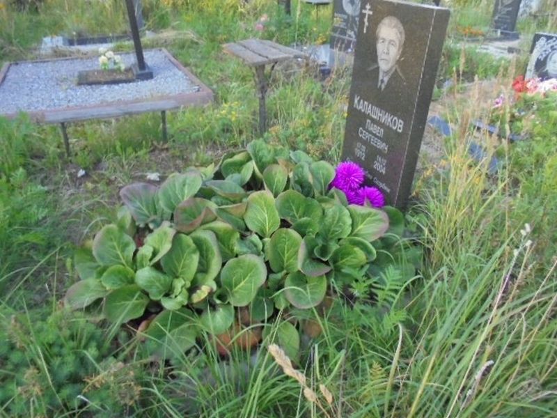 Калашников Павел Сергеевич