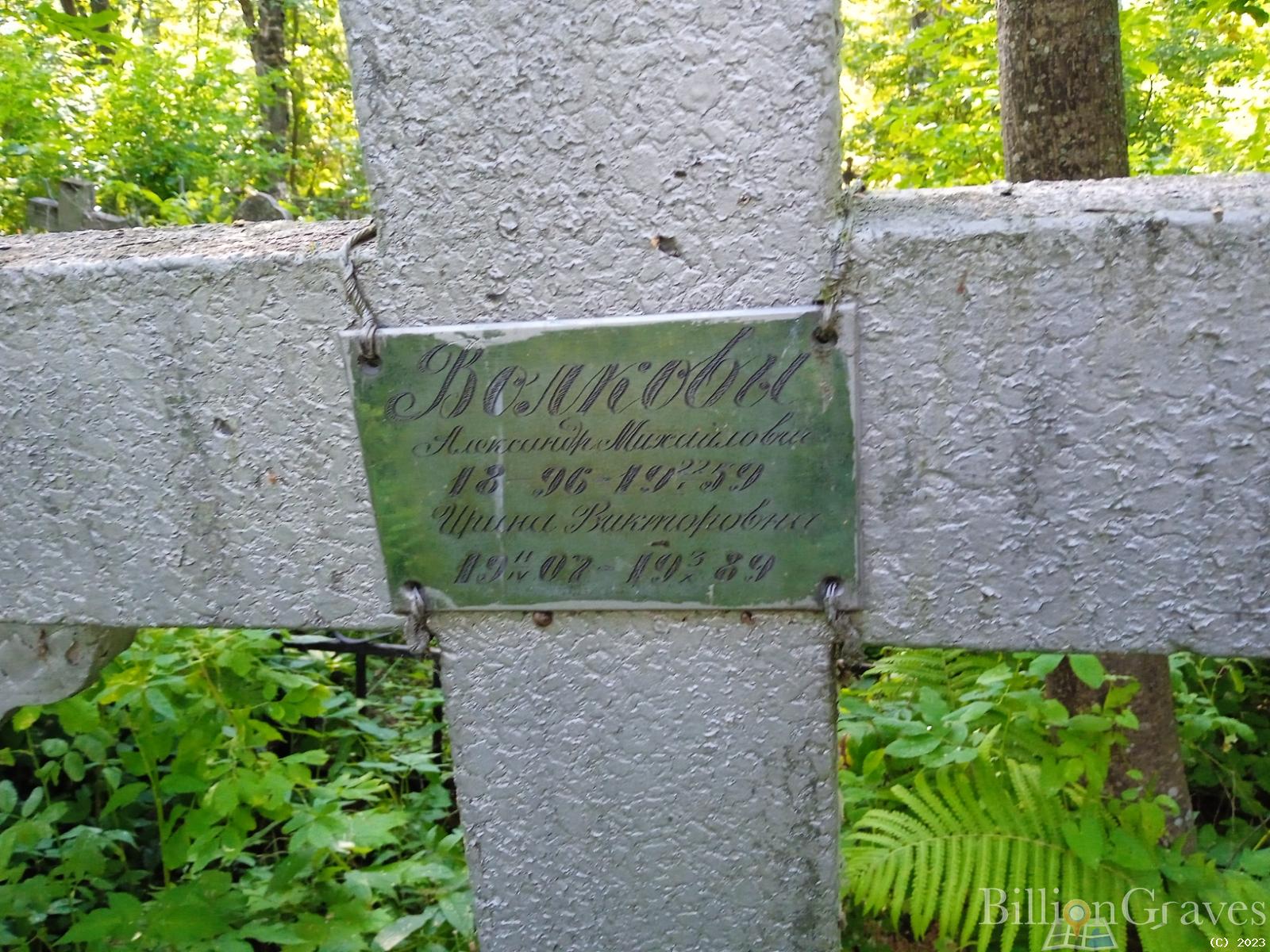 Волкова Ирина Викторовна