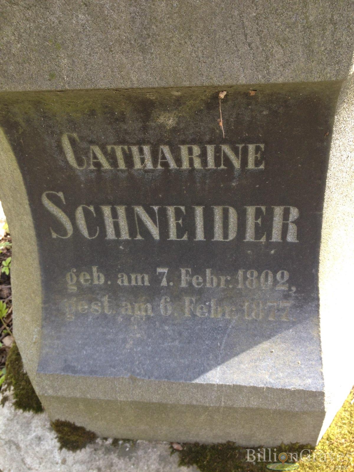 Schneider Catharine