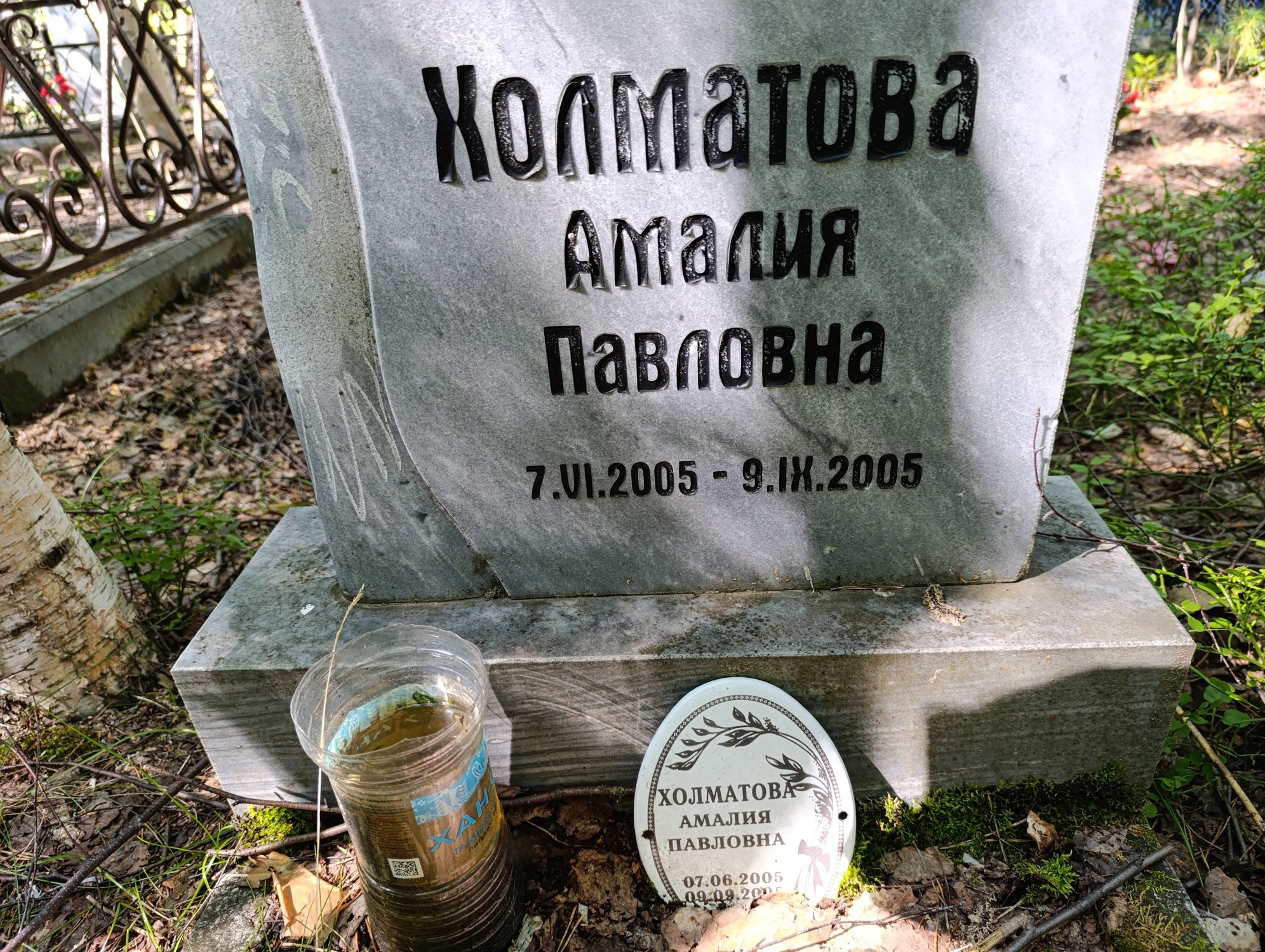 Холматова Амалия Павловна