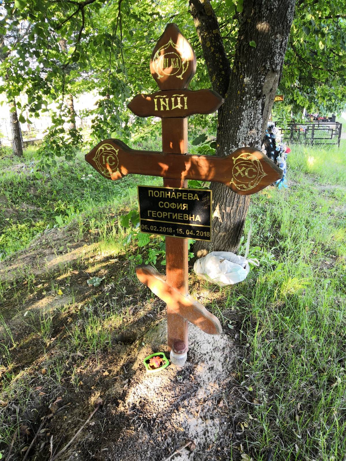 Полнарева София Георгиевна