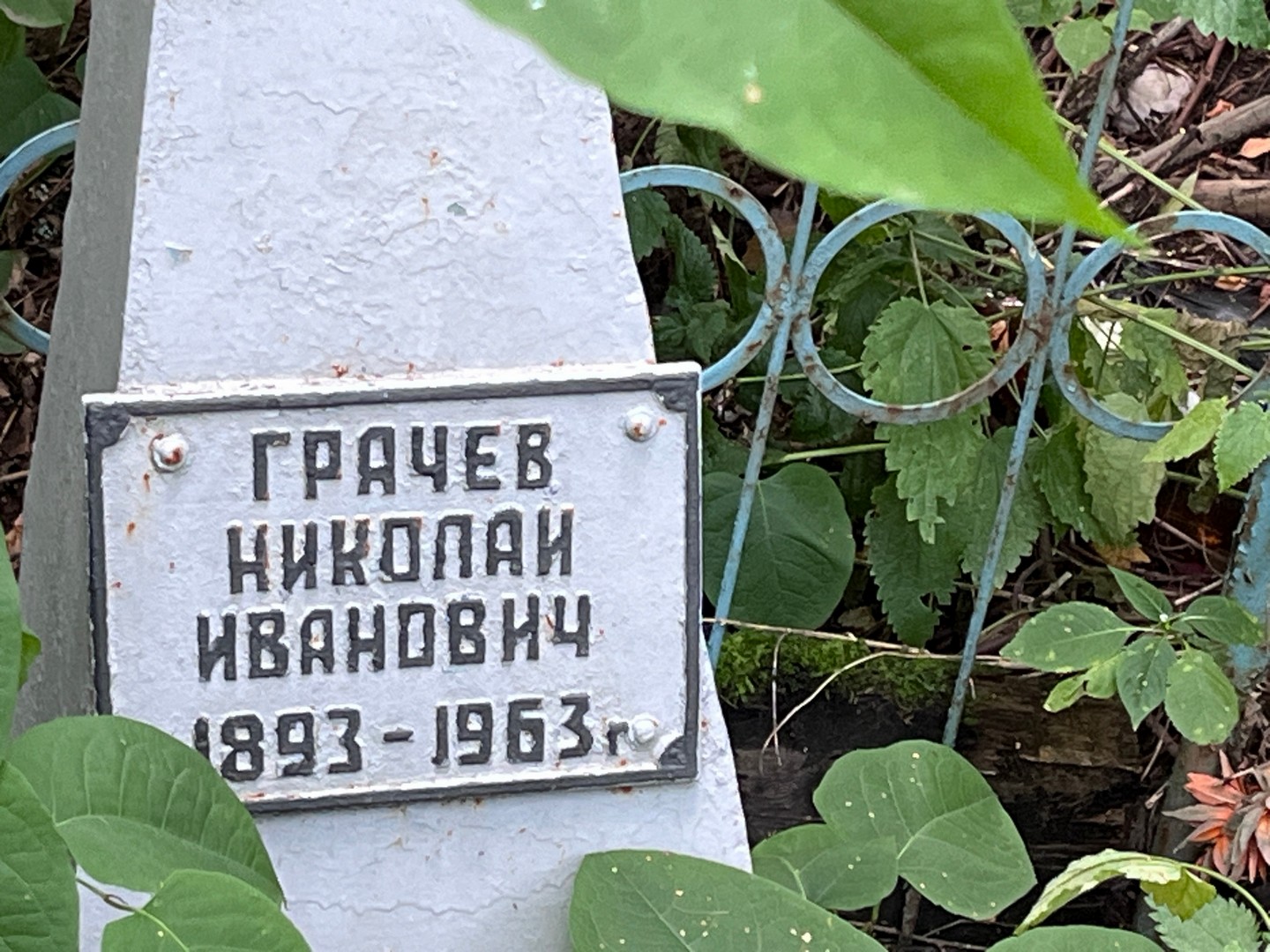 Грачев
