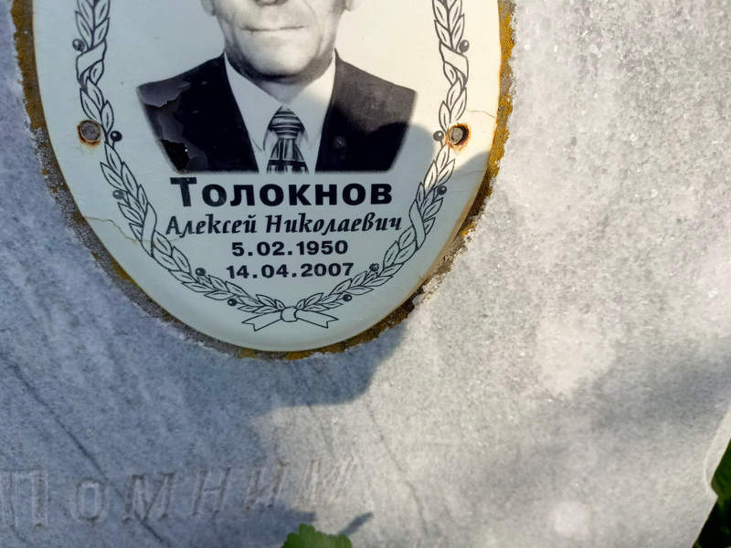 Толокнов