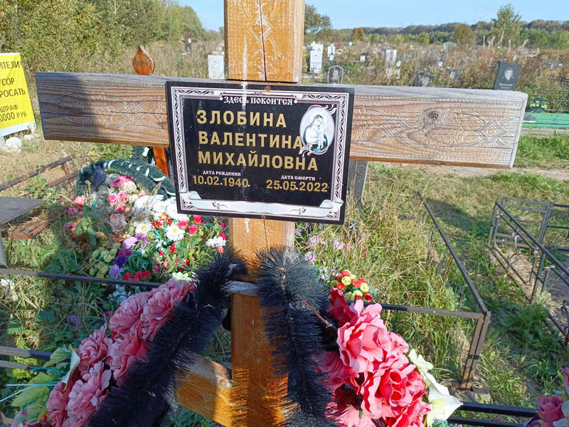 Злобина
