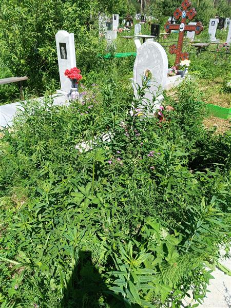 Кушнов Виктор Николаевич
