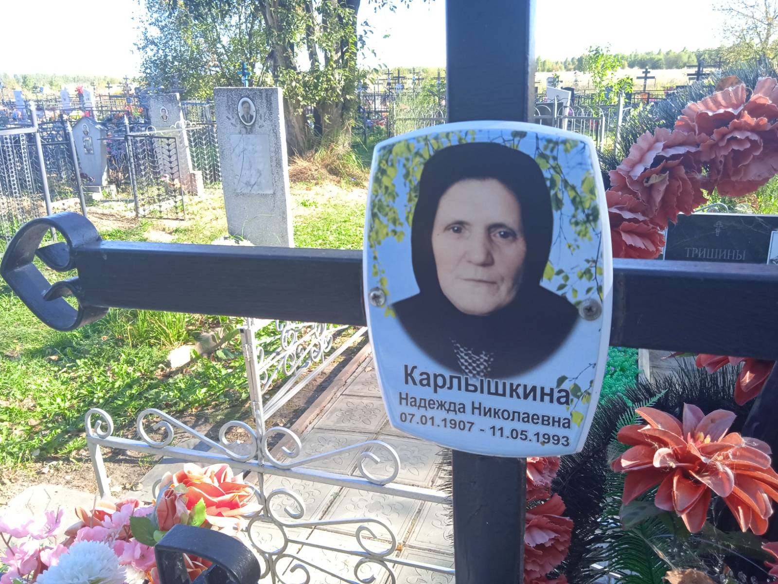 Карлышкина Надежда Николаевна