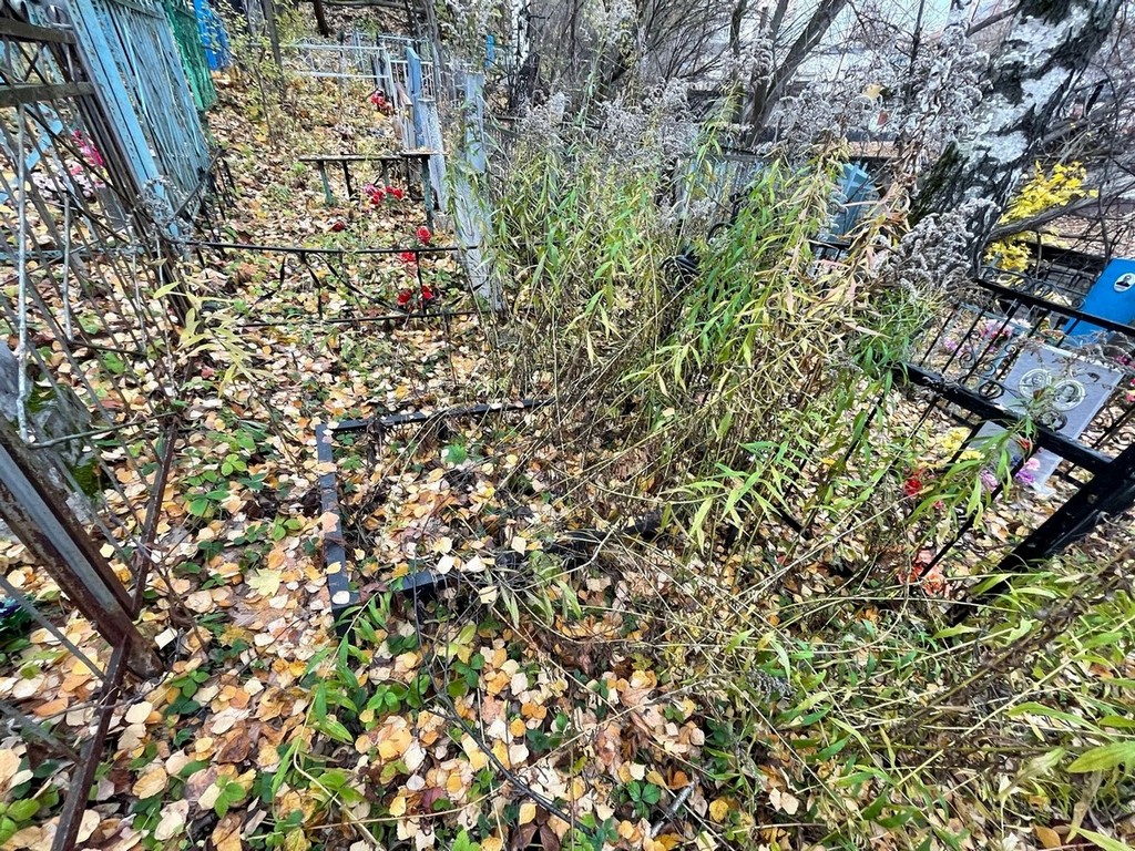 Царева Мария Архиповна