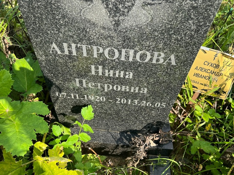 Антропова