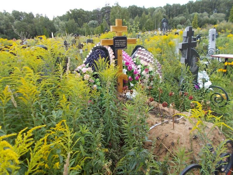 Бабушкин Борис Григорьевич
