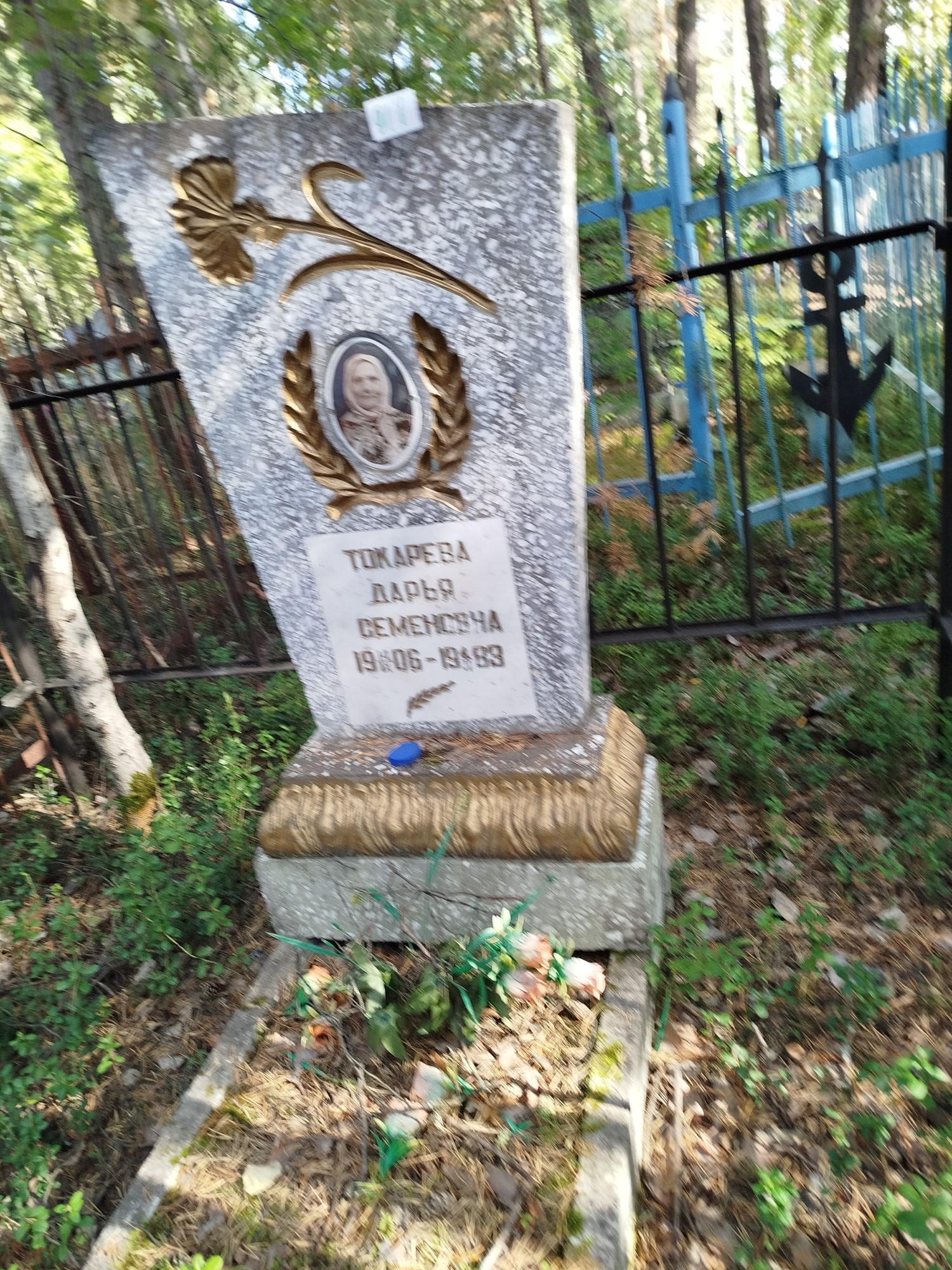 Токарева Дарья Семеновна