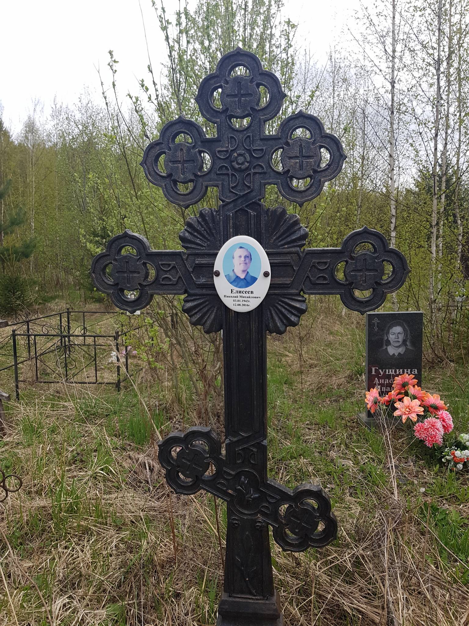 Елисеев Николай Михайлович