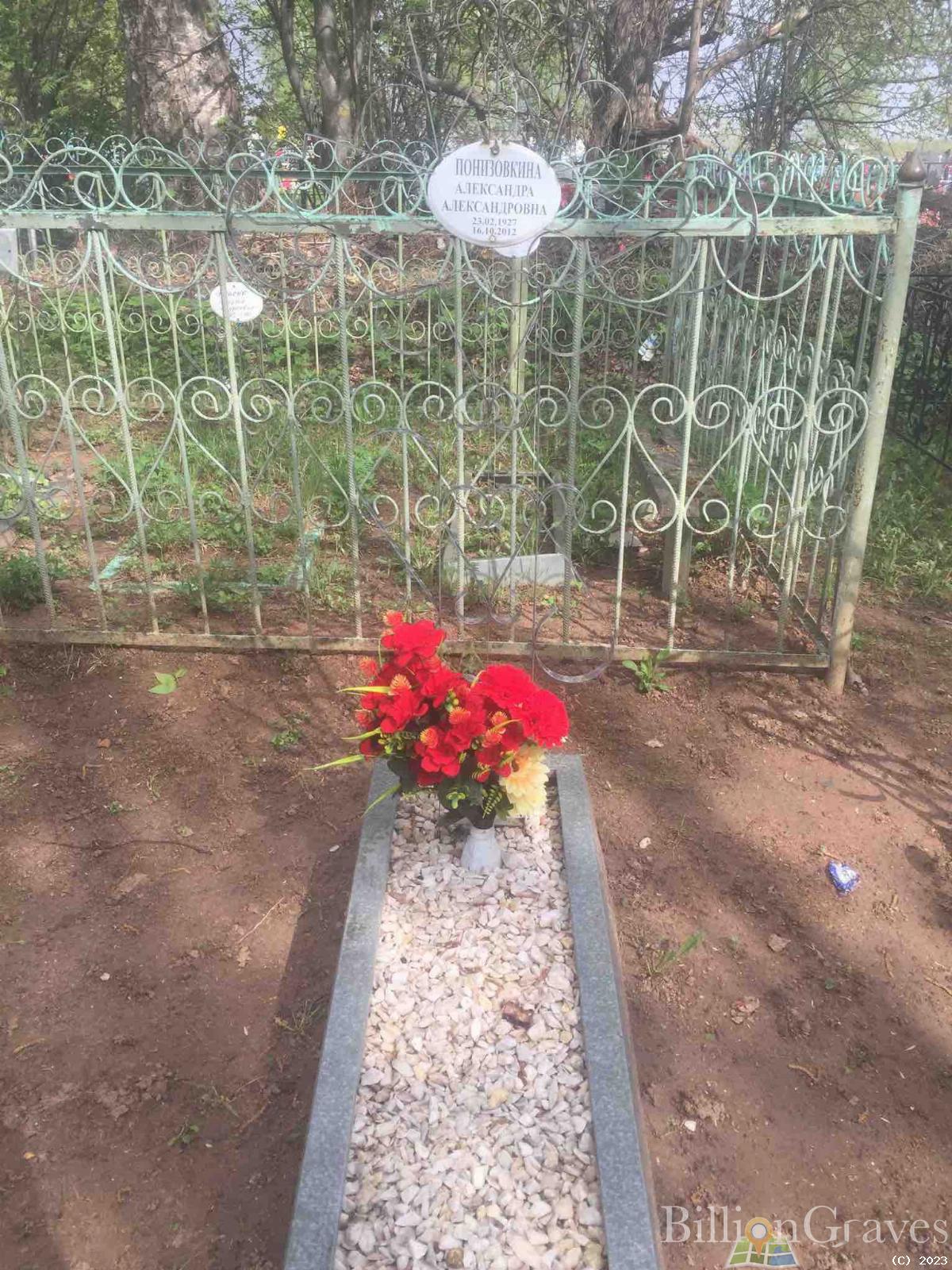 Понизовкина Александра Александровна