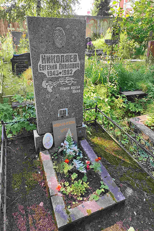 Николаев Евгений Павлович