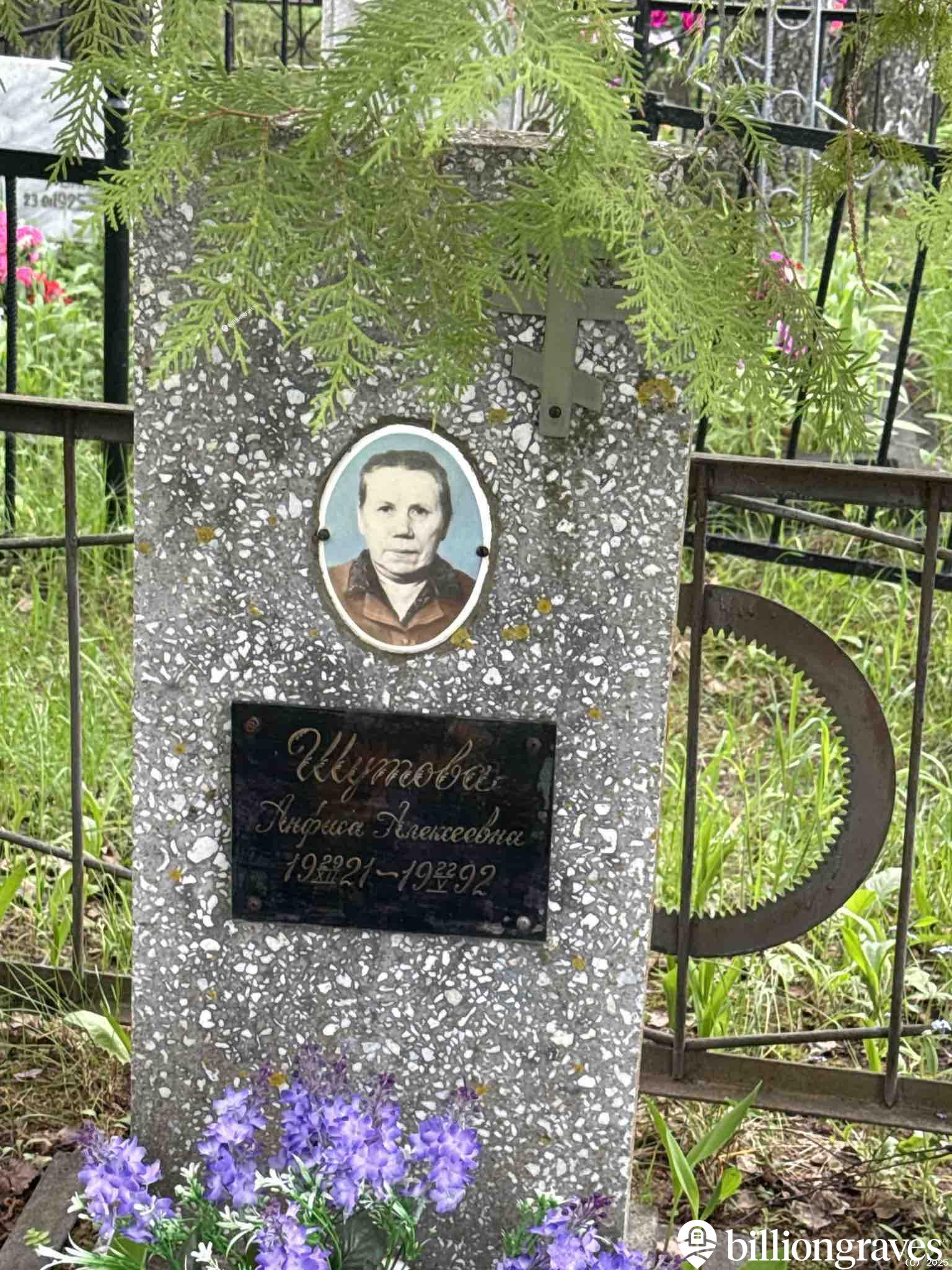 Шутова Анфиса Алексеевна