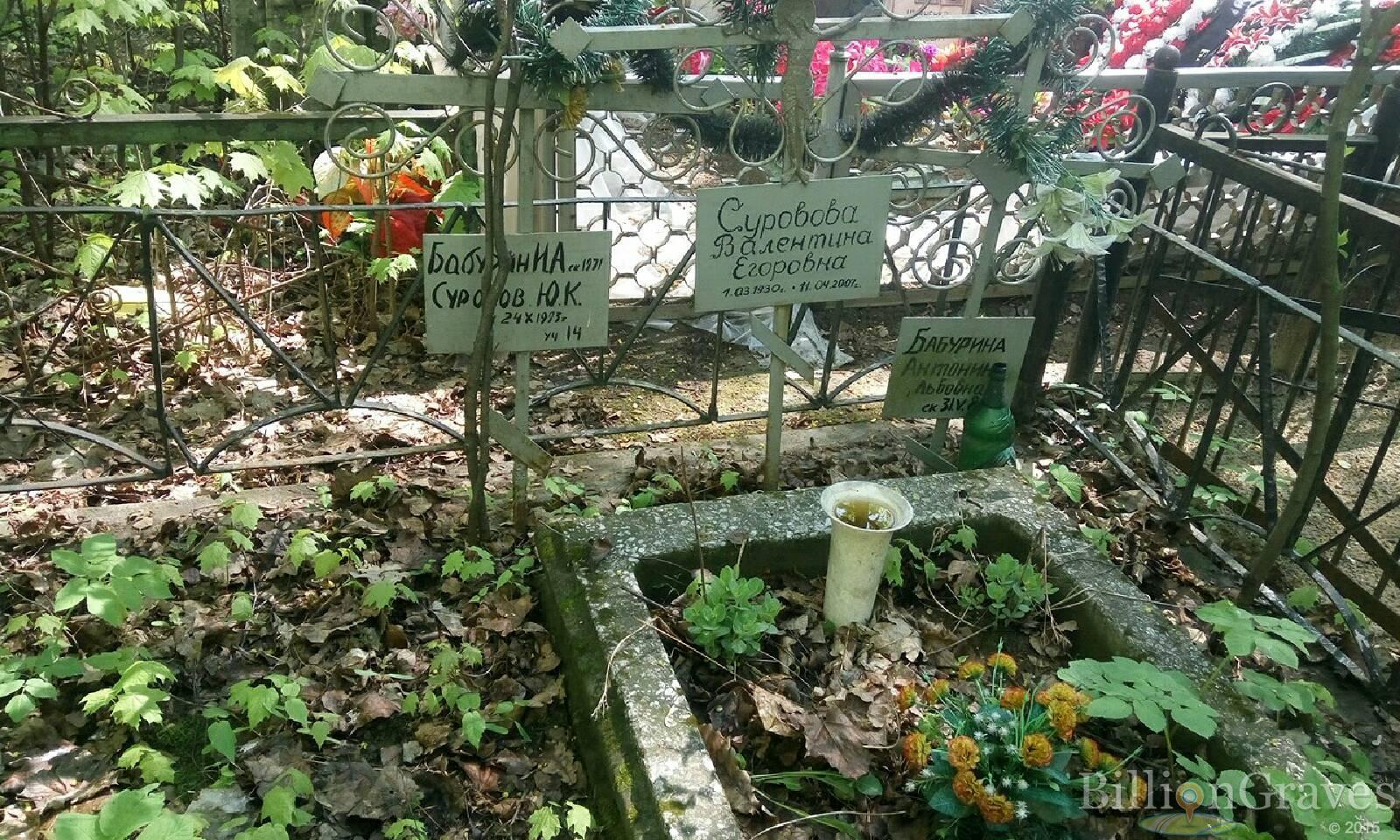 бабурина антонина львовна