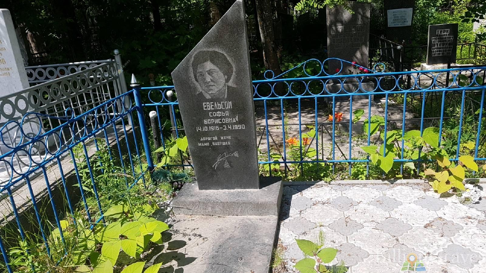 Евельсон Софья Борисовна